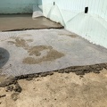 1b